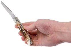 Case Trapper Amber Jigged Bone, 00164, 6254 SS Navaja 19 Case Trapper Amber Jigged Bone, 00164, 6254 SS Navaja -Victorinox Ventas CE164 09 case ce164 09