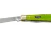 Case Mini Trapper 53034 Green Apple Bone, Navaja -Victorinox Ventas CE53034 01 case