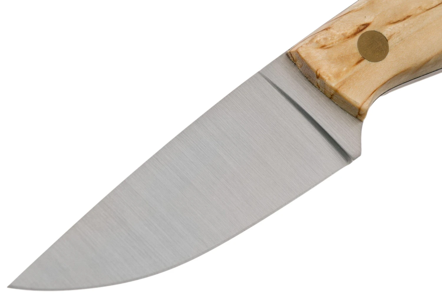 Brisa Bobtail 80, 037-L Flat Curly Birch, Cuchillo De Caza 5 Brisa Bobtail 80, 037-L Flat Curly Birch, Cuchillo De Caza - Imagen 3
