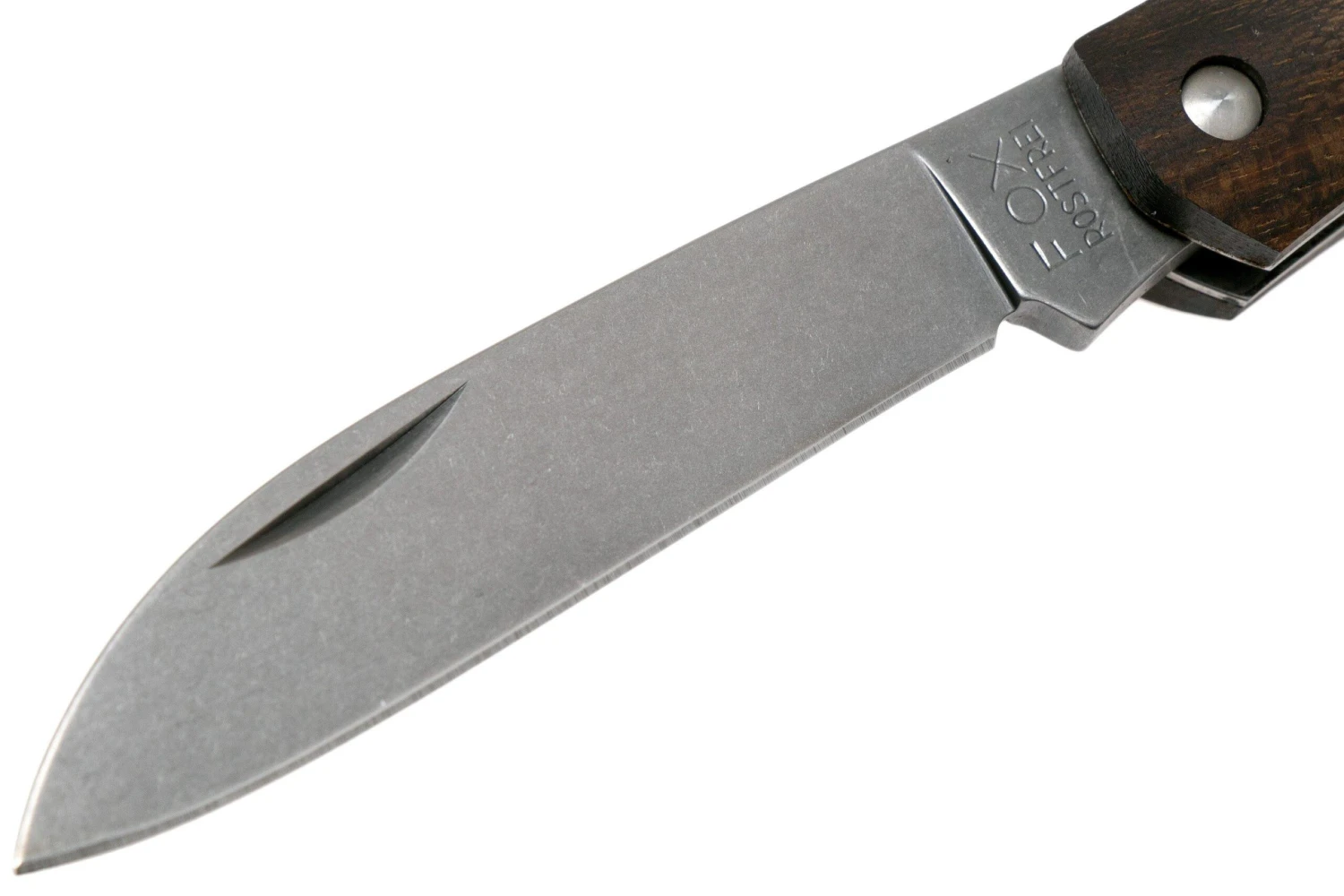 Fox Nauta FX-230ZW Zircote Navaja 5 Fox Nauta FX-230ZW Zircote Navaja - Imagen 3