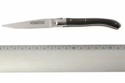 Fontenille Pataud XS Cuerno De Búfalo L4PCN -Victorinox Ventas FPL4PCN 06 fontenille pataud fpl4pcn d5