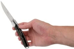 Le Thiers Le Nature Cuerno De Búfalo Crudo T7BB Navaja Por Fontenille Pataud 18 Le Thiers Le Nature Cuerno De Búfalo Crudo T7BB Navaja Por Fontenille Pataud -Victorinox Ventas FPT7BB 08 fontenille pataud