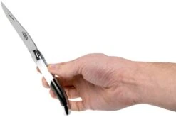 Forge Laguiole Airbus A350 1211 INAIRBUS Navaja Laguiole -Victorinox Ventas LA1211INAIRBUS 07 forge de laguiole