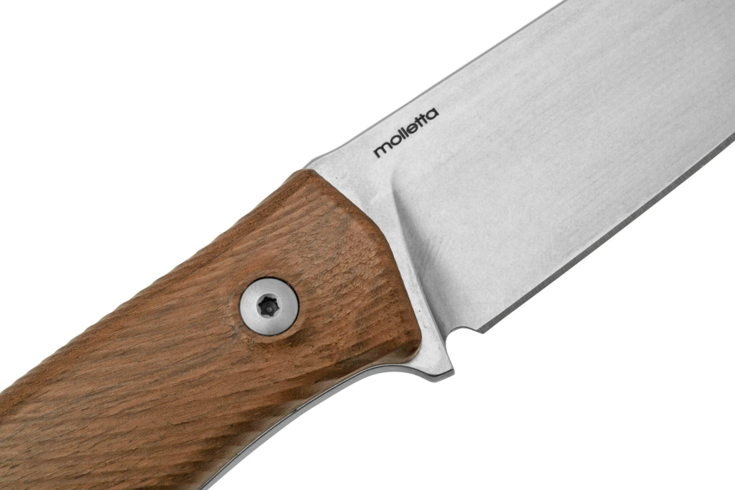 Lionsteel M4 Walnut MagnaCut M4-MC-WN, Knivesandtools Exclusive, Cuchillo Fijo 7 Lionsteel M4 Walnut MagnaCut M4-MC-WN, Knivesandtools Exclusive, Cuchillo Fijo - Imagen 5