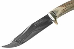 MAM Cuchillo De Caza Mango De Asta De Ciervo 5474, Cuchillo Fijo -Victorinox Ventas MAM5474 03 mam